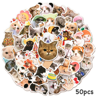 สติ๊กเกอร์ น้องแมวน่ารัก 545 น้องแมว 50ชิ้น น้องน่ารักมาก น้อง แมว น่ารัก cat น้อน แมว เหมียว แมวส้ม รูป เท้าแมว แ ม ว