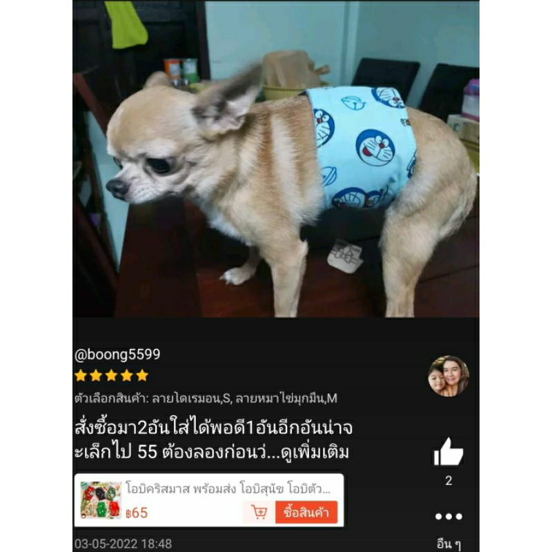 โอบิสุนัข-สำหรับลูกสุนัข