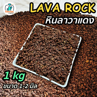 หินภูเขาไฟแดง (หินลาวาแดง Red lava) บรรจุถุง 1 กิโล ขนาด1-2 มิล วัสดุปลูก ผสมดินแคคตัส โรยหน้ากระถาง แคคตัส (กระบองเพชร)