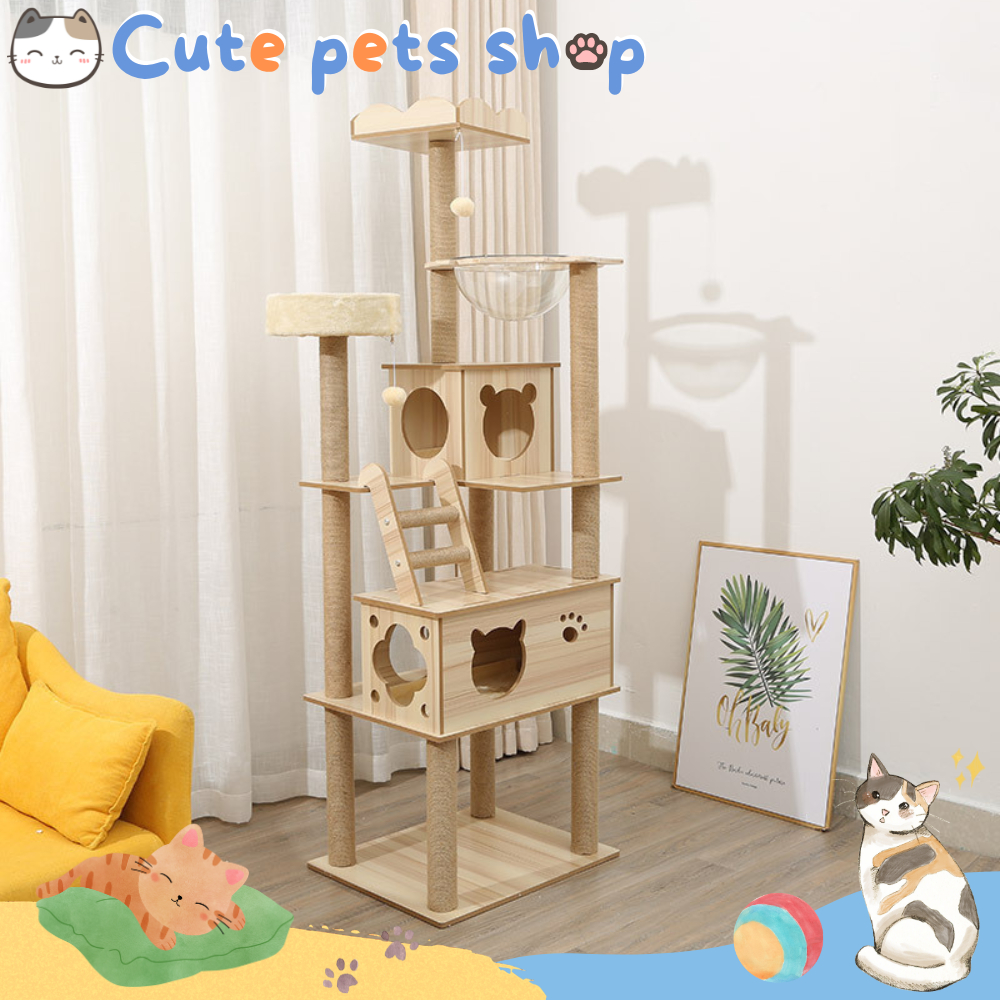 คอนโดแมว-คอนโดแมวไม้-คอนโดแมวขนาดใหญ่-คอนโดแมวราคาถูก-cat-tree-condo-house-หลุมอวกาศ-มีหลุมใส-บ้านแมว-ติดผนัง-ของเล่นแมว