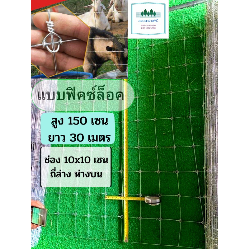 ลวดตาข่าย-ล้อมแพะ-แกะ-ฟิคซ์ล็อคและถักปม-สูง150cm-ความถี่5cm-และ-10cm-ล้อมฟาร์ม-รั้วตาข่ายถูกสุด-ล้อมบ้าน-ล้อมสวน-ตาข่าย