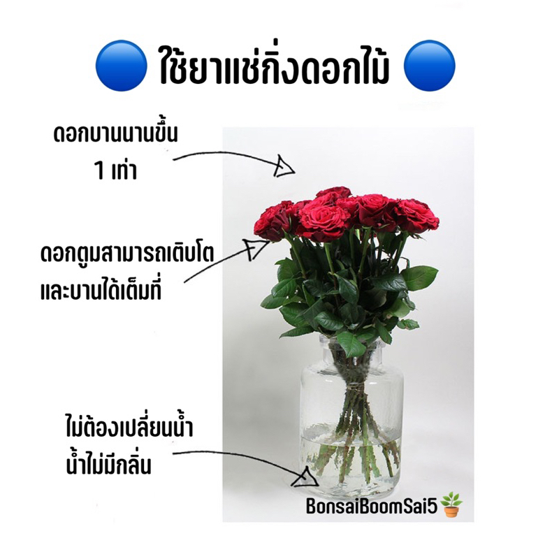 พร้อมส่งจากไทย-ยาแช่กิ่งดอกไม้-ยืดอายุดอกไม้ในแจกัน-5กรัมต่อซอง