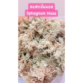 สแฟกนั่มมอส แห้ง(เกรดA 200g)สะอาดเส้นไยยาวสวย เพราะปลูก เลี้ยงสัตว์เช่น กบ หอย เต่า แมงมุมและอีกมากมาย