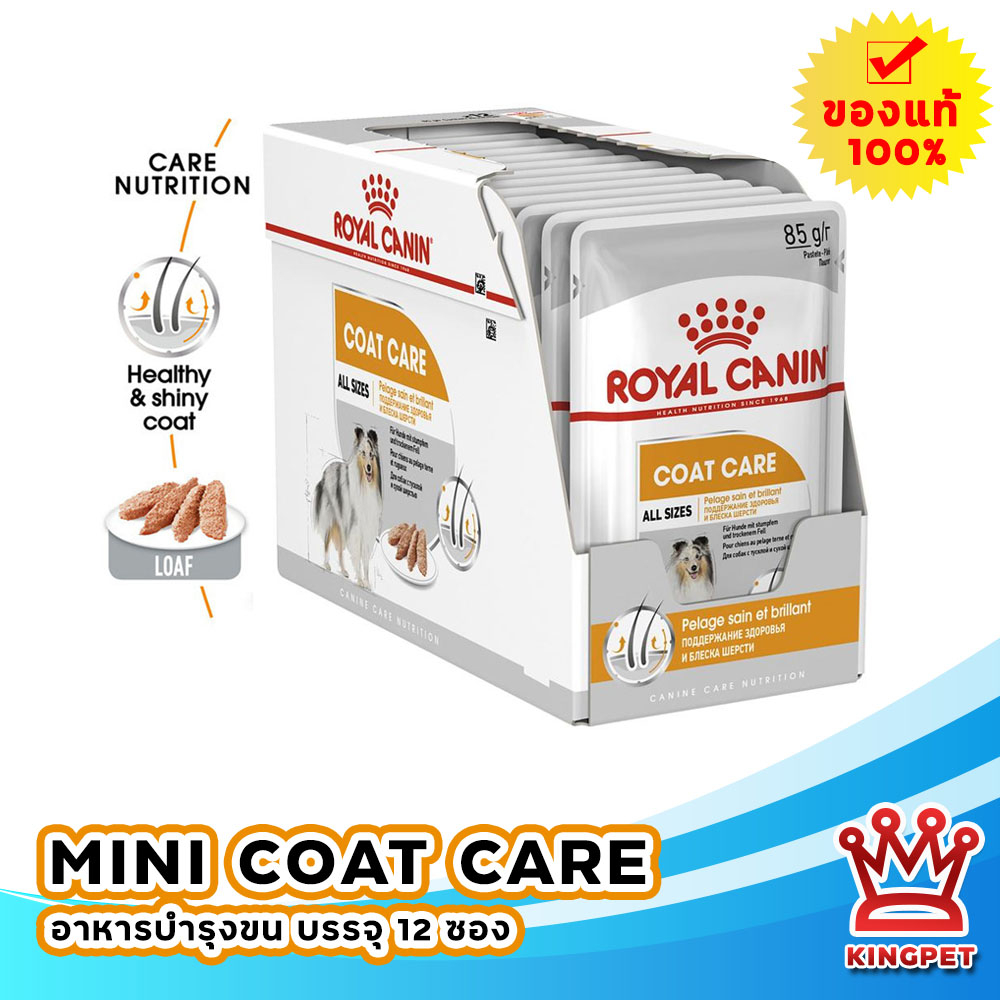 หมดอายุ 5/2024 Royal canin Coat care loaf 12 ซอง อาหารบำรุงขนแบบเปียก