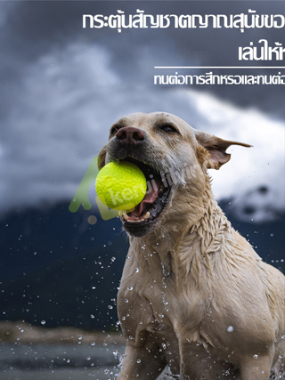 Harmcat ลูกบอลสุนัข บอลหมา บอลยาง ยางกัด ของเล่นสุนัข นุ่มเด้ง ลอยน้ำได้ ลูกบอลยางสุนัข สำหรับสัตว์เลี้ยง ลูกบอลกัด