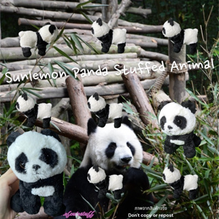 น้องแพนด้า ตาแป๋ว ขนนุ่มมาก ท้อง-ขาถ่วง ยืนได้ นั่งได้ เกาะแกะเกาะใจก็ได้เช่นกันค่ะ SUNLEMON Panda Stuffed Animal
