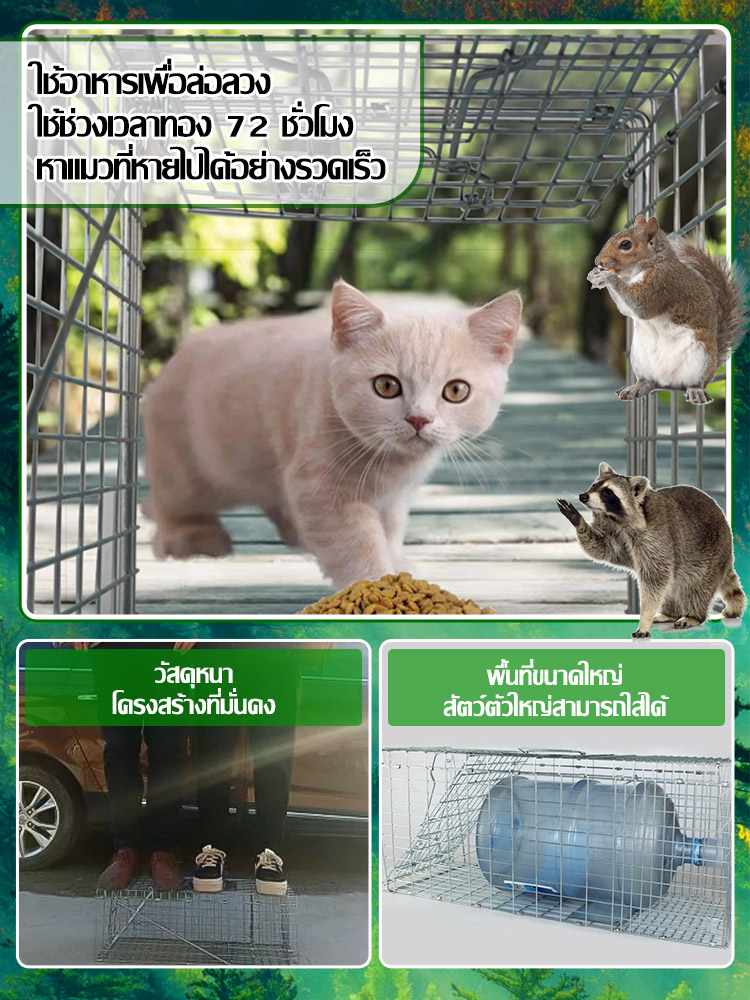 cattrap4you-กรงดักแมว-กรงดักแมวคะ-ไซส์-xl-ส-เหล็กเส้น-ชุบกาวาไนท-กันสนิม-พับได้-จับแมวจรจัด-จับแมว-ดักจับแมว