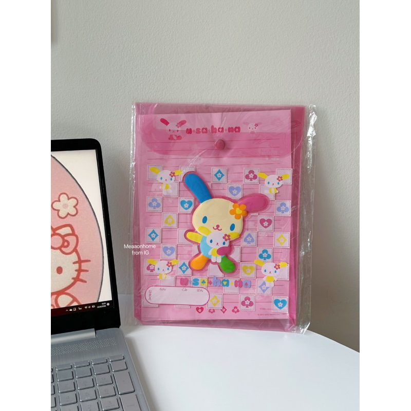 usahana-paper-holder-old-sanrio-2005-กระเป๋าเครื่องเขียนอุซาฮานะ