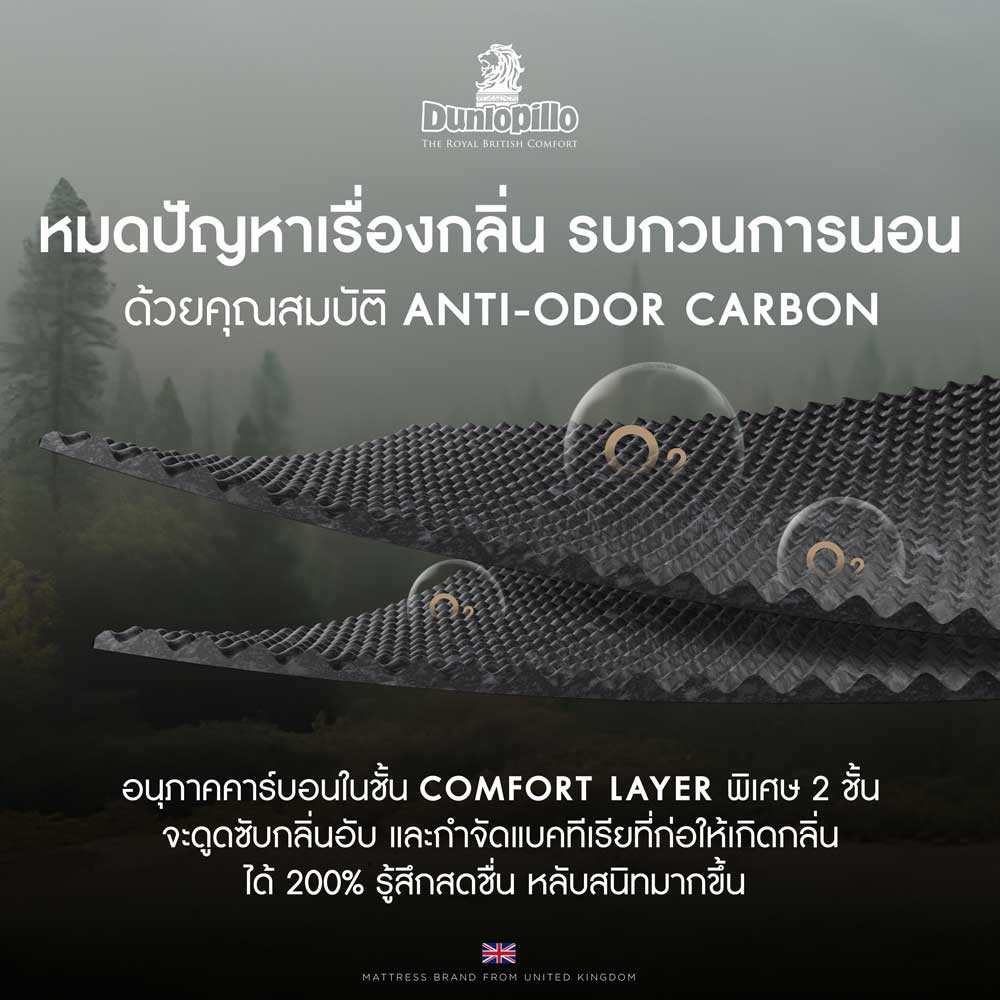 dunlopillo-ที่นอนยางพารา-นวัตกรรมผสมผสาน-carbon-เพิ่มความสบายขั้นสุด-รุ่น-wellington-หนา-11-นิ้ว-แถมหมอนหนุนสุขภาพ-ส่งฟรี