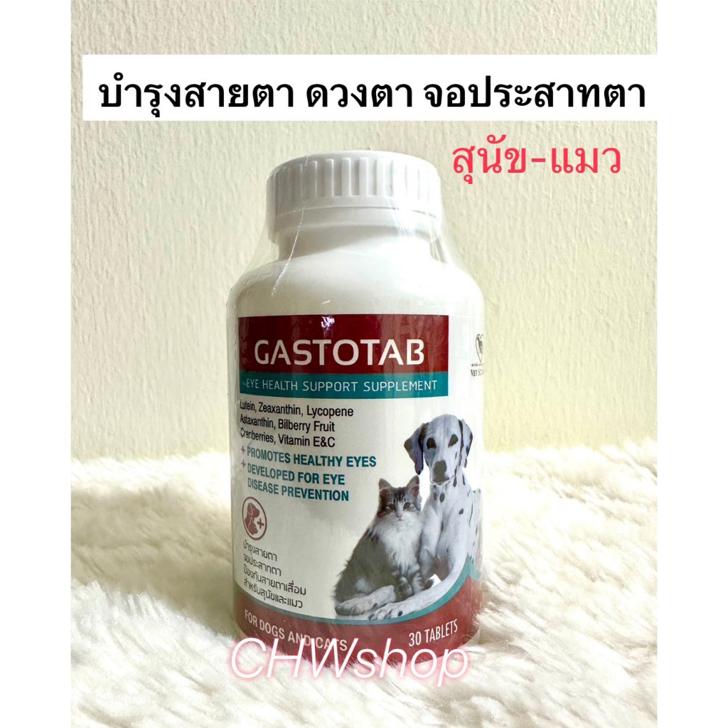 gastotab-exp-04-2025-อาหารเสริมบำรุงสายตาสุนัขและแมว-บำรุงจอประสาทตา-ป้องกันสายตาเสื่อม-30-เม็ด