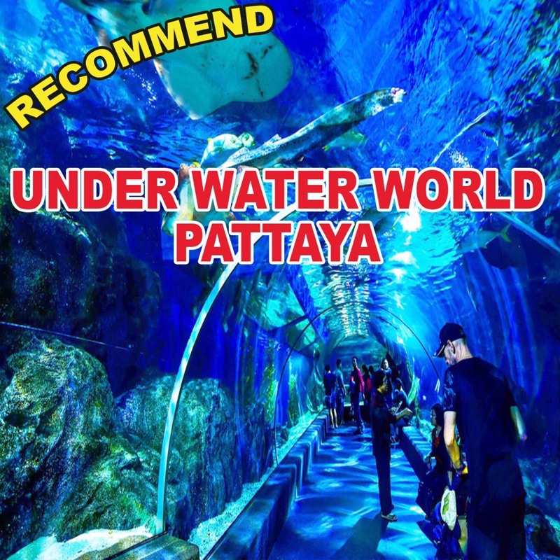 underwater-world-pattaya