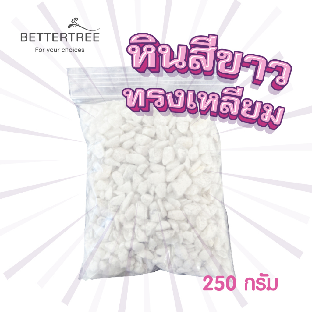 หินสีขาวทรงเหลียม-250-กรัม-หิน-หินตกแต่ง-หินใส่กระถางต้นไม้