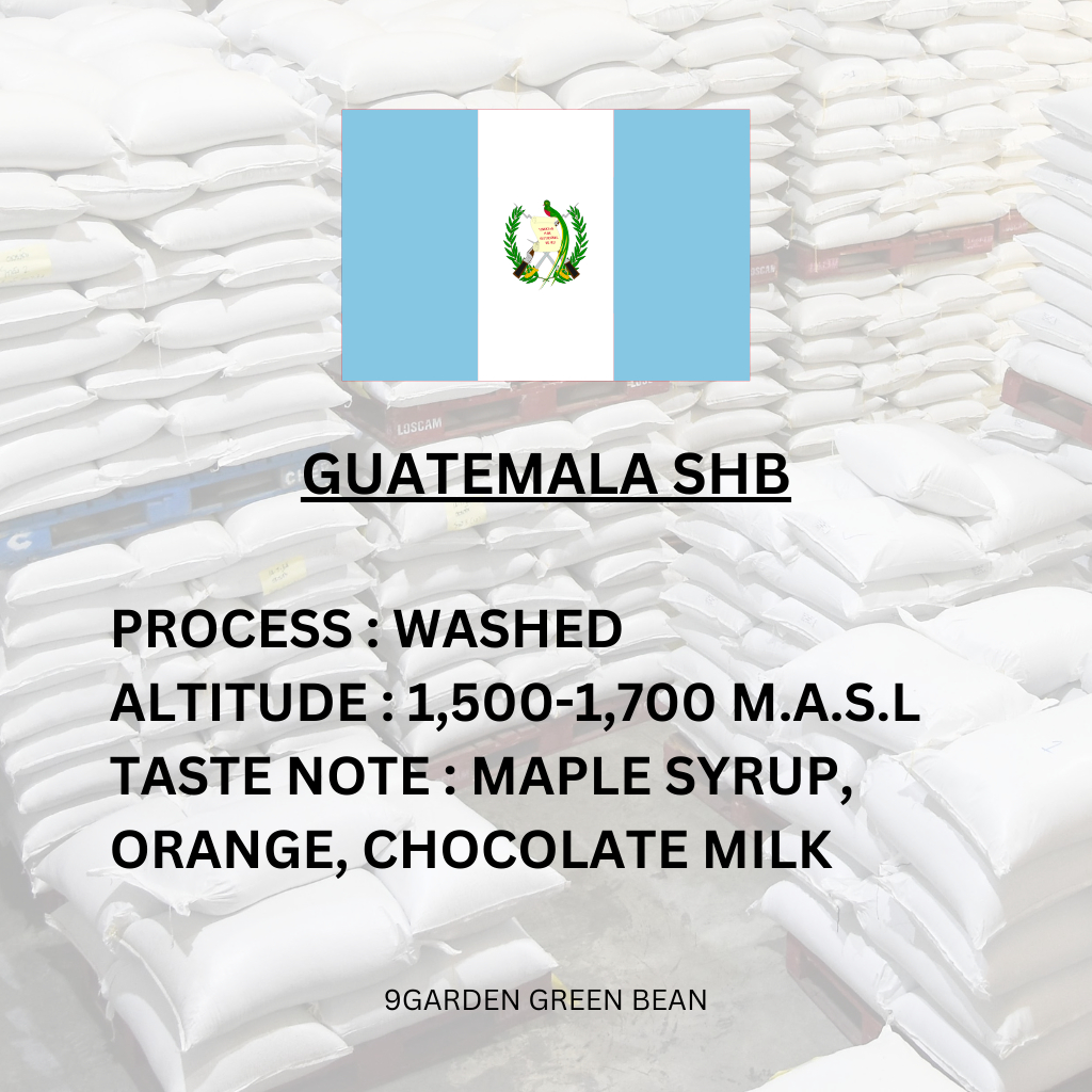 สารกาแฟ-guatemala-shb-huehuetenango