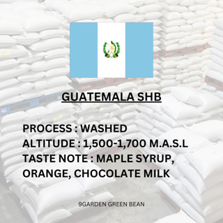 สารกาแฟ Guatemala SHB Huehuetenango