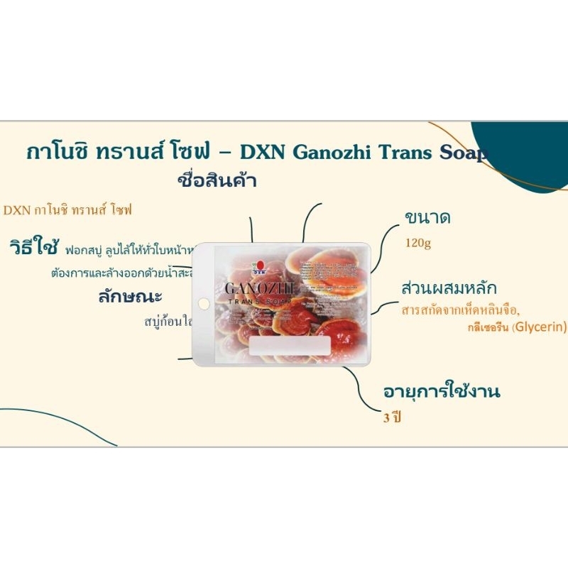 สบู่ DXN Ganozhi Trans Soap กาโนชิ ทรานส์ โซฟ สบู่เห็ดหลินจือ / DXN ...