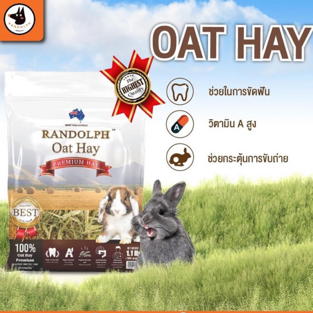 oat-hay-หญ้าโอ๊ต-500g-randolph