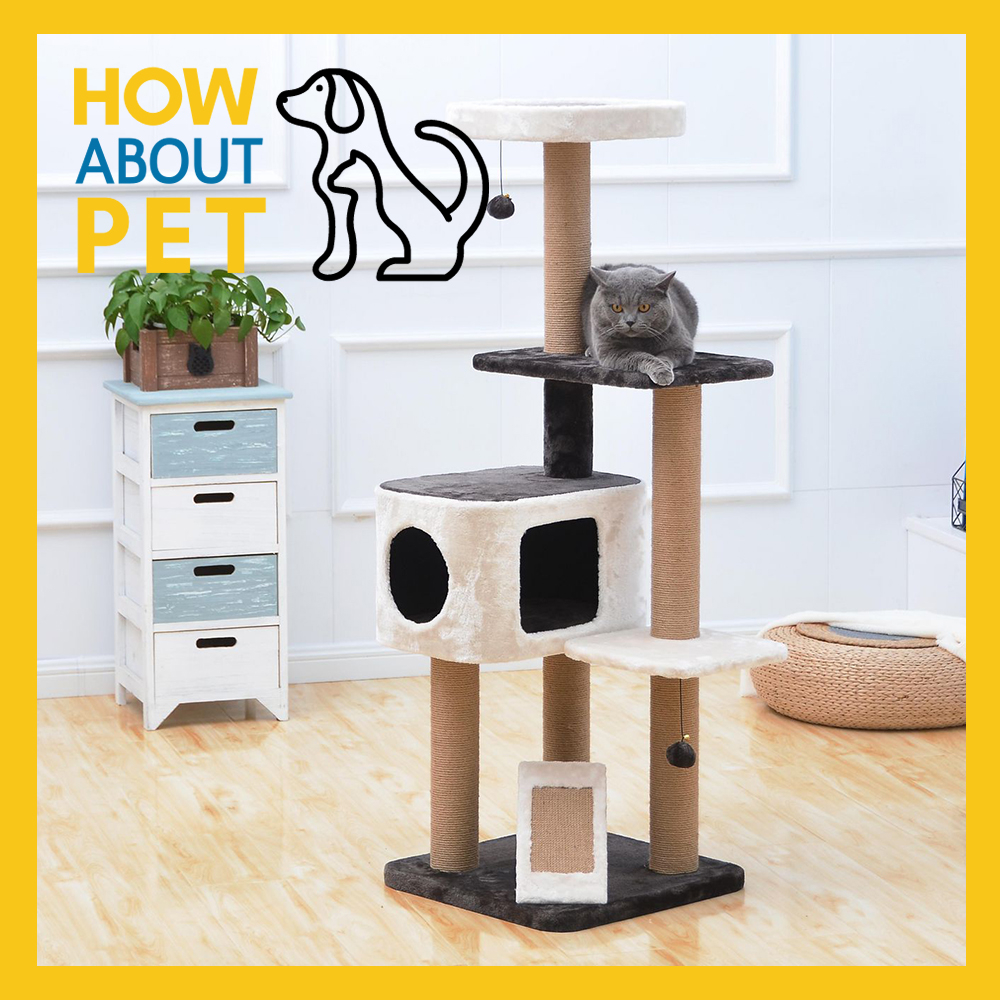 Cat top condo shopee