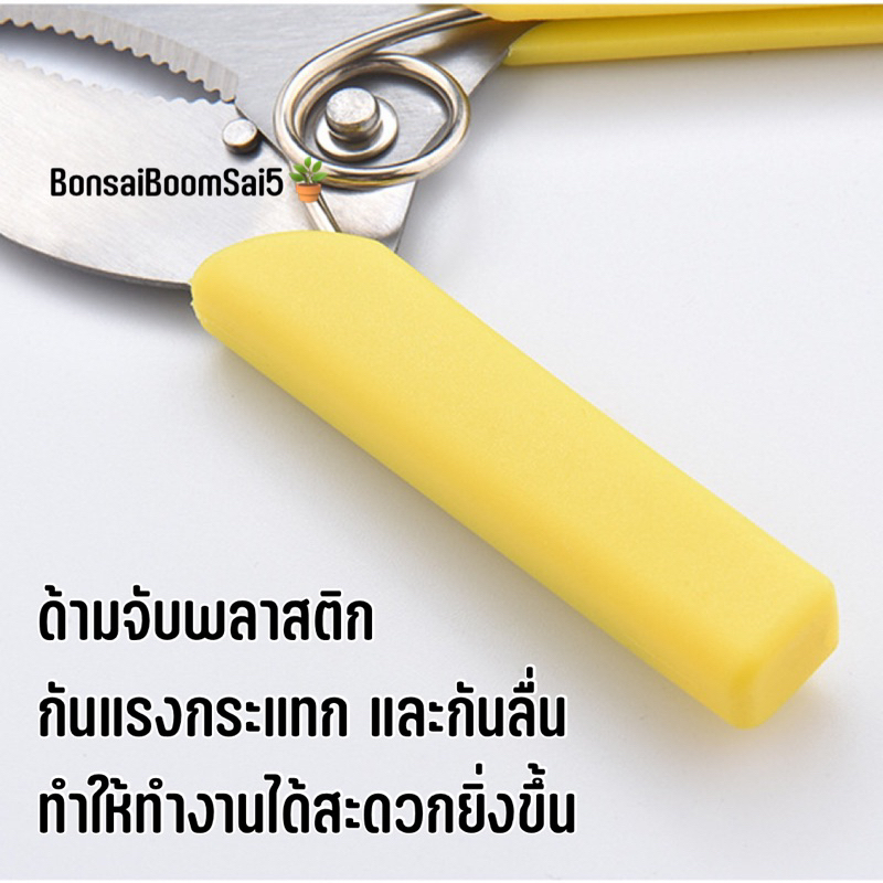 กรรไกรตอนกิ่งไม้-ที่ตอนกิ่งไม้-อุปกรณ์ตอนกิ่ง