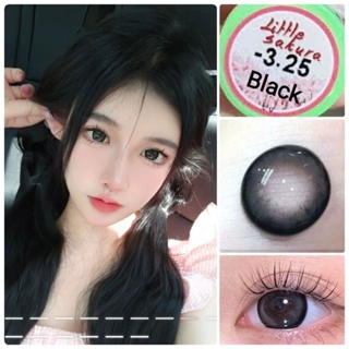 คอนแทคเลนส์ Mini Sakura/Little Sakura สีดำ/ตาล Black/Brown มีค่าสายตาปกติ (0.00) เปลี่ยนแทนทุกเดือน