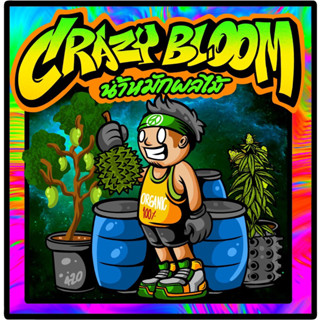 สินค้ามาใหม่🔥Crazy Bloom🔥 น้ำหมักผลไม้สีเหลือง(สูตรเข้มข้น) P K สูง เพิ่มกลิ่น รสชาติ น้ำหนัก ดอก และ ผล