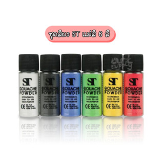 ชุดสีผงแม่สี 6 สี ST ขนาด 10 กรัม