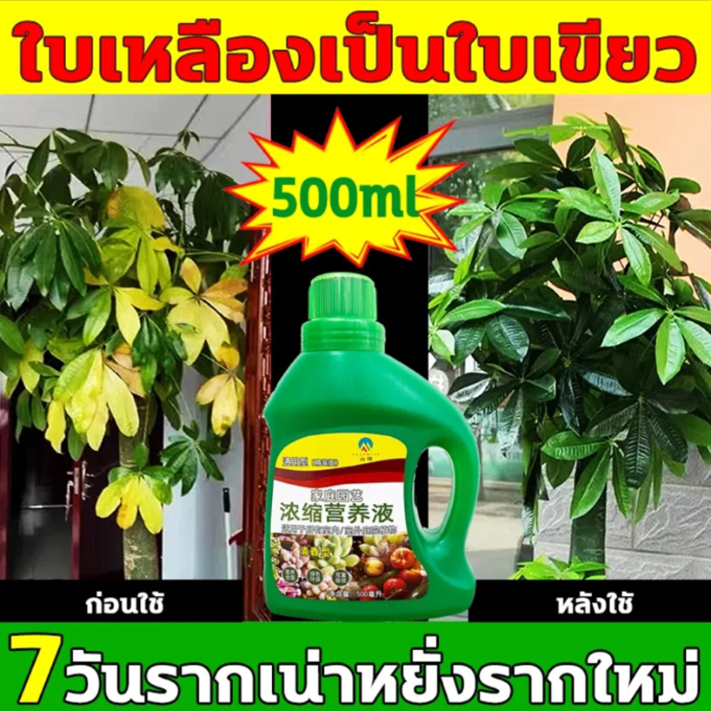 ผงเร่งรากพืช-ผงเร่งราก-ผงเร่งรากคอมโบ-น้ำยาเร่งราก-ยาเร่งราก-500ml-อุดมไปด้วยธาตุจำนวนมาก-ส่งเสริมการเจริญเติบโตของรากพื