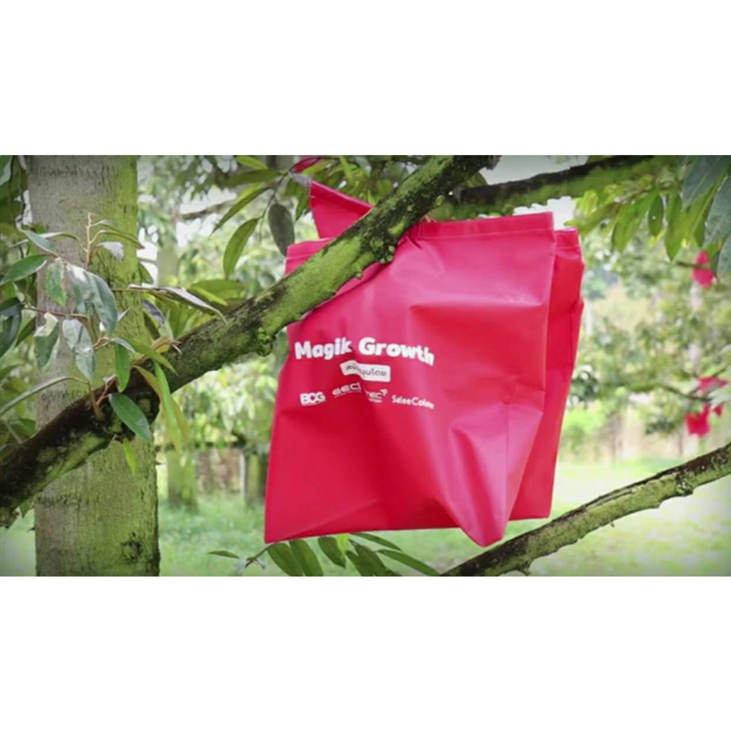 ใบละ 60 บาท ถุงห่อผลไม้ ทุเรียน ตรา Magik Growth สีแดง สวทช เอ็มเทค ...