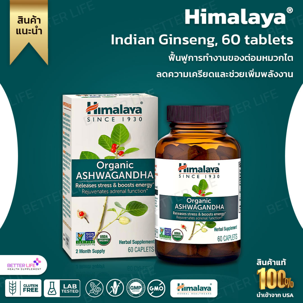 Himalaya, Indian Ginseng, 60 tablets (No.282) Shopee Thailand