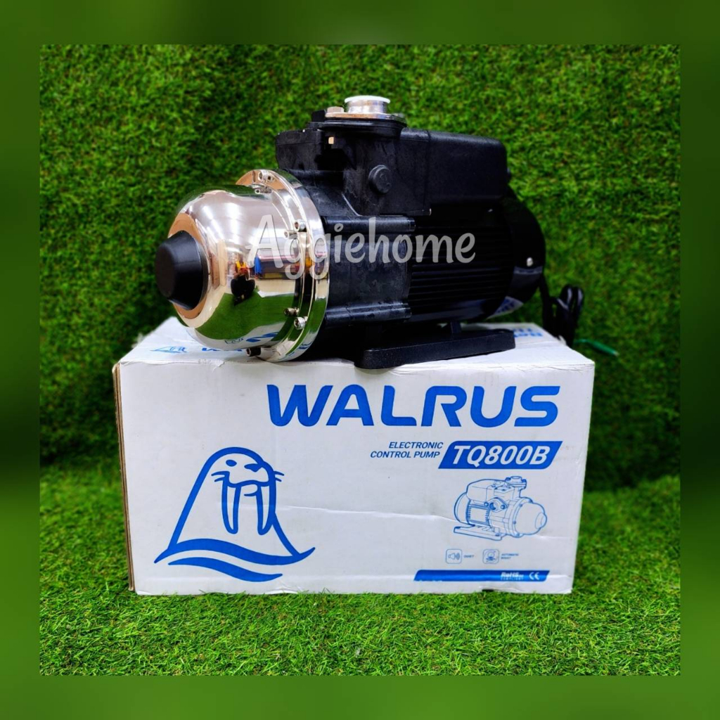 walrus-ปั๊มน้ำอัตโนมัติ-รุ่น-tq800b-กำลัง-750วัตต์-ท่อออก-1x1-นิ้ว-สูงสุด-35-ม-ปริมานน้ำ-95l-นาที-ปั๊มน้ำ-ปั๊มบ้าน