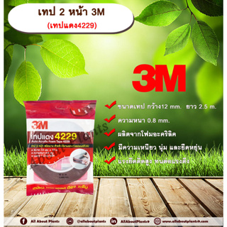 3M เทปแดง 4229 กาว 2 หน้า ชนิดบาง โฟมอะคริลิค หน้ากว้าง 12 มม. ยาว 2.5 เมตร ความหนา 0.8 มม. กาว 2 หน้า 3M