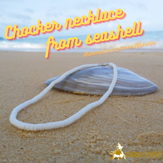 Andaman seashell สร้อยคอโชคเกอร์จากเปลือกหอย 1-2 สีขาว