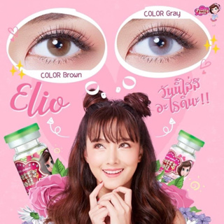 Elio Brown / Gray Pretty Doll คอนแทคเลนส์ Contact Lens สีน้ำตาล สีเทา ตาฝรั่ง มินิ ค่าสายตา สายตาสั้น แฟชั่น ไร้ขอบ สายฝ