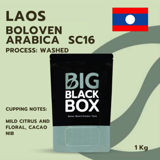 (CAS01-LAO-01) สารกาแฟ  Arabica SC16 Washed