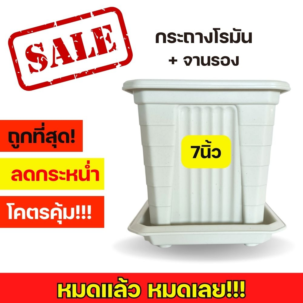 กระถางโรมันสี่เหลี่ยม-7-นิ้ว-พร้อมจานรอง-กระถางสี่เหลี่ยมทรงสูง-ทรงเตี้ย-กระถางสี่เหลี่ยม-กระถางต้นไม้สี่เหลี่ยม