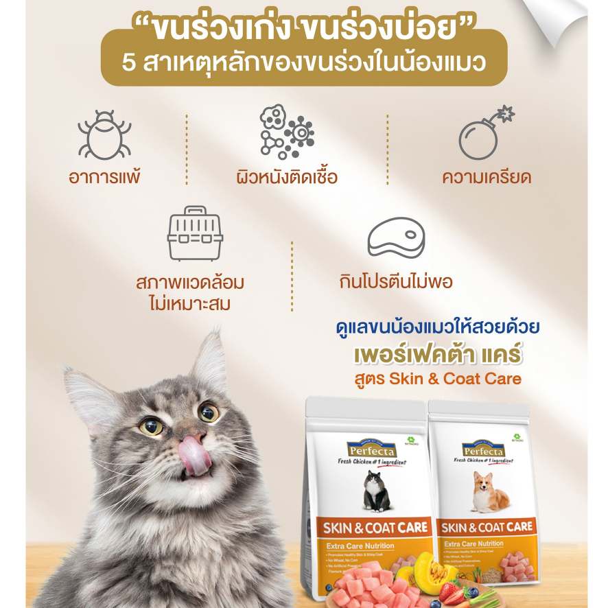 **ล็อตใหม่** Perfecta Care Cat Food อาหารแมว เพอร์เฟคต้า แคร์ สูตร ...