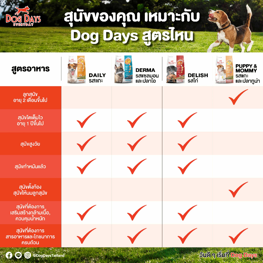 dog-days-ด็อกเดย์-อาหารสุนัขเกรดซุปเปอร์พรีเมี่ยม-ขนาด-11-2-12-กิโลกรัม