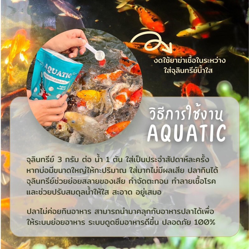 aquatic-จุลินทรีย์น้ำใส-สำหรับบ่อปลา-ตู้ปลาสวยงาม