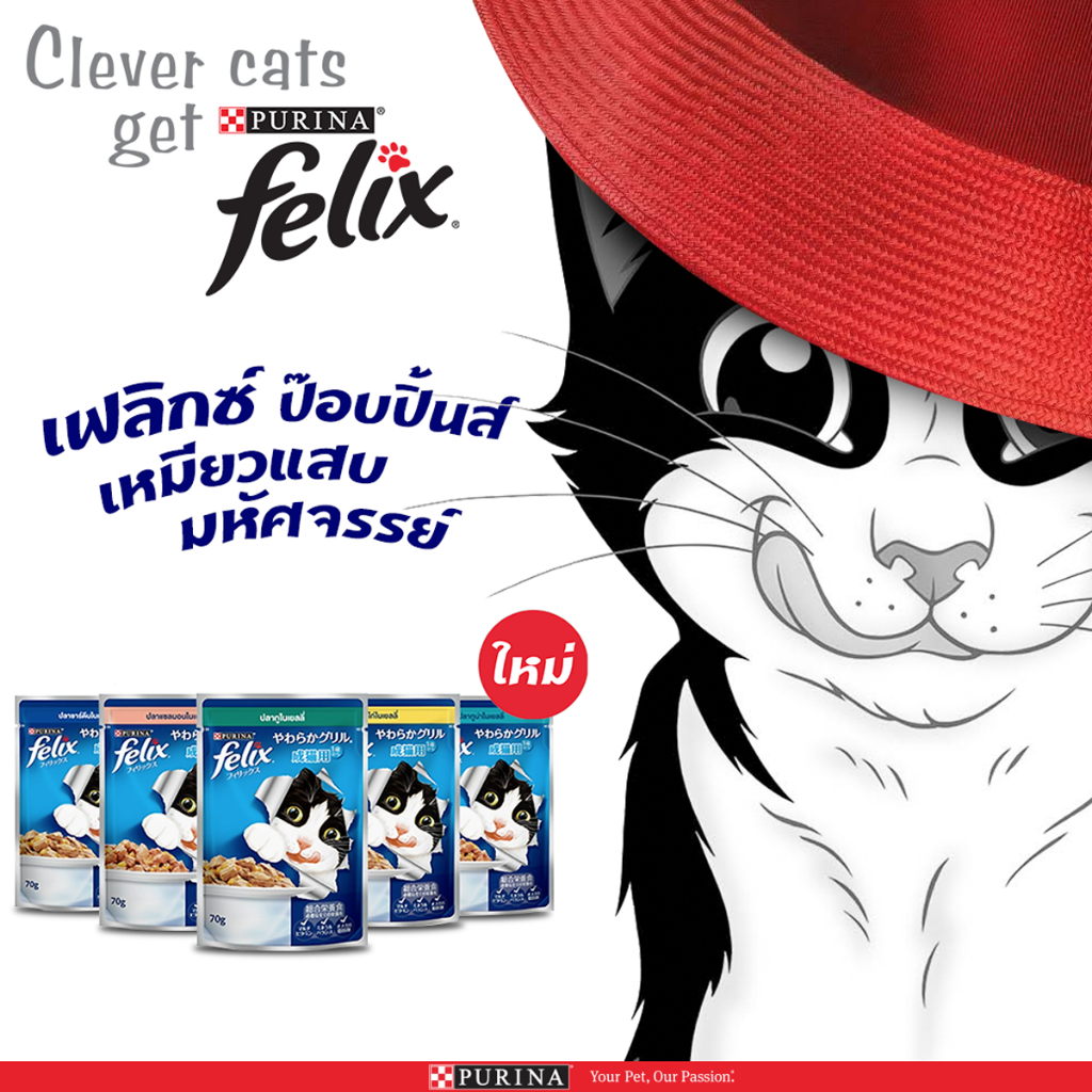 felix-เฟลิกซ์-อาหารเปียกแมว-เกรดพรีเมี่ยม-70-85-กรัม-โหล12-ซอง
