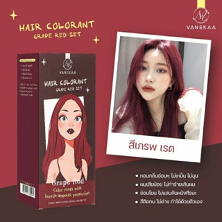 Vanekaa ครีมเปลี่ยนสีผม Vanekaa Hair Colorant 100 ml.