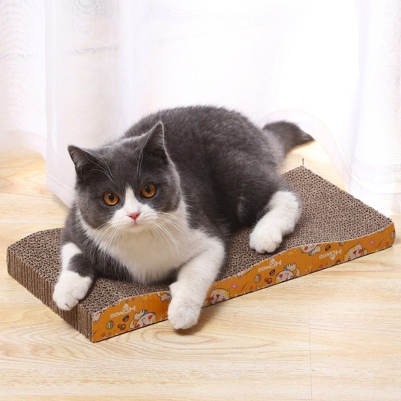 ภาพสินค้าโซฟาที่ลับเล็บแมว ของใช้น้องแมว โซฟาลับเล็บแมว ที่ลับเล็บแมว จากร้าน catto_store บน Shopee ภาพที่ 7