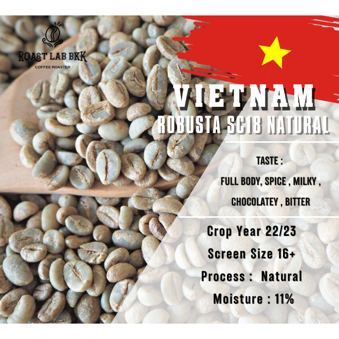 ภาพหน้าปกสินค้าสารกาแฟโรบัสต้าเวียดนาม Robusta Vietnam เกรด Premium จากร้าน roast.lab.bkk บน Shopee
