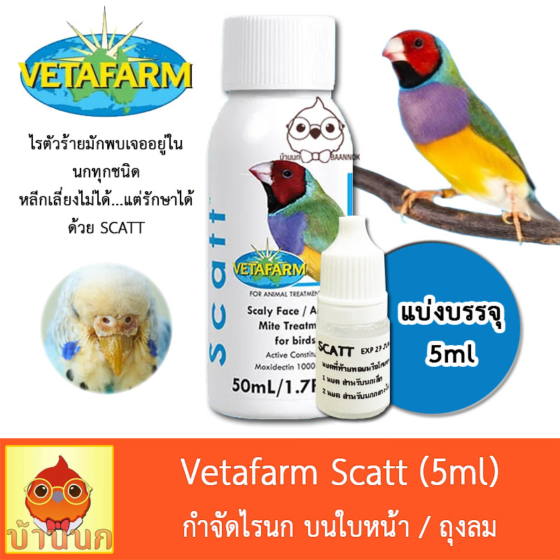 vetafarm-scatt-แบ่งบรรจุ-5ml-หยดรักษา-กำจัดไรนก-แมลง-หมัดเห็บ-ตัวไร-และพาหะ-วีต้าฟาร์ม-vitapet