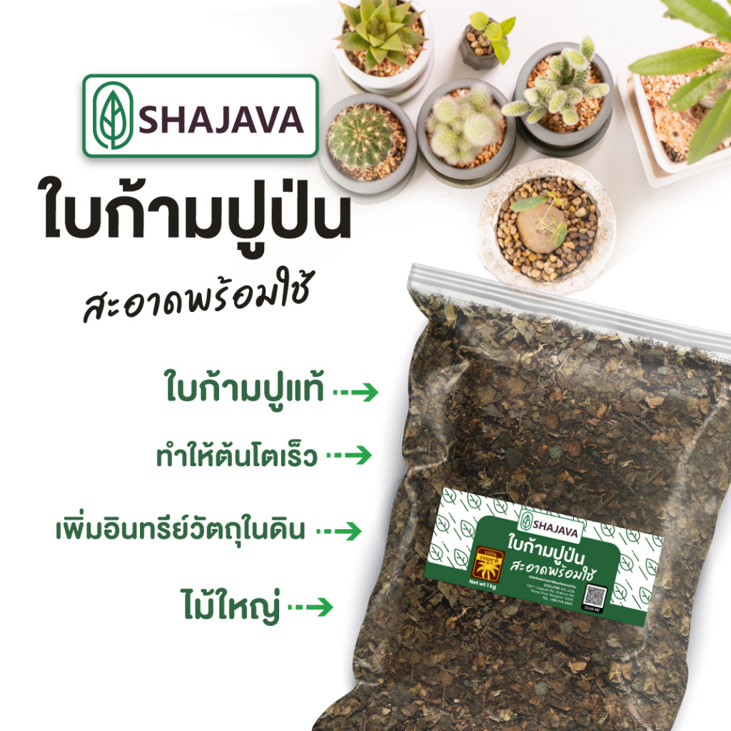 shajava-ใบก้ามปูป่น-1-kg-ใบก้ามปู-ใบก้ามปูหมัก-ใบก้ามปู