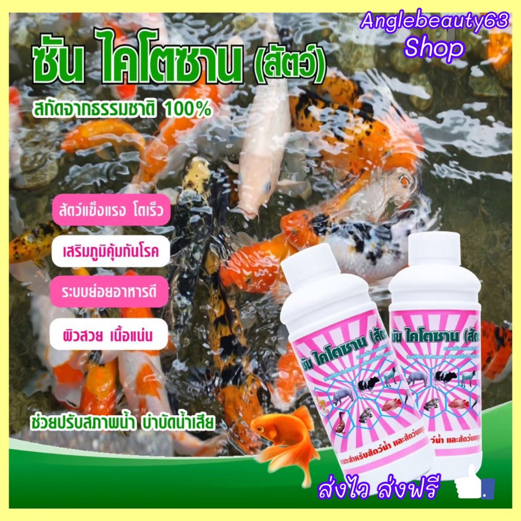 ซันไคโตซานสัตว์-10แถม2-ยกลังรวม12ขวด-ส่งฟรี-ส่งไว-สินค้าผลิตใหม่