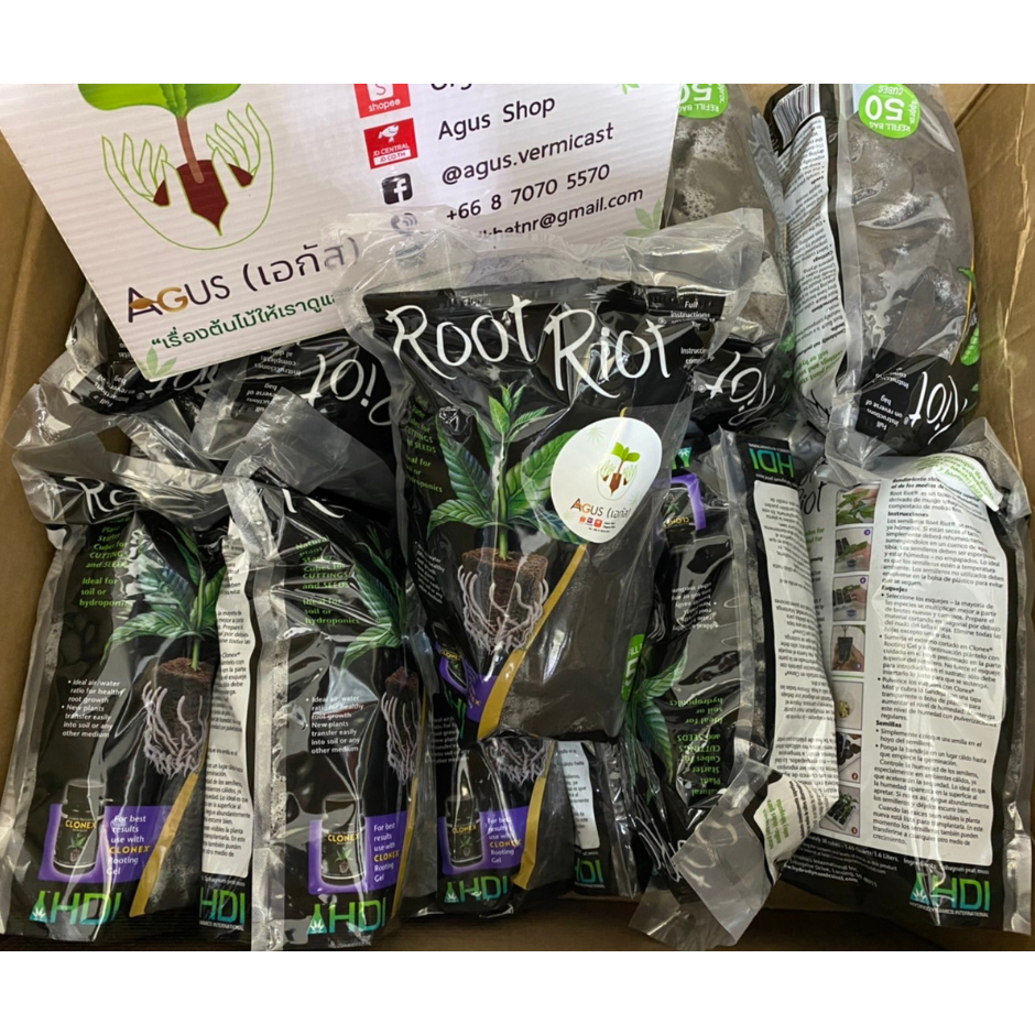 Root Riot original package ถุง ขนาด 50 ชิ้น (50 cubes) ปักชำ เพาะ เมล็ด ...