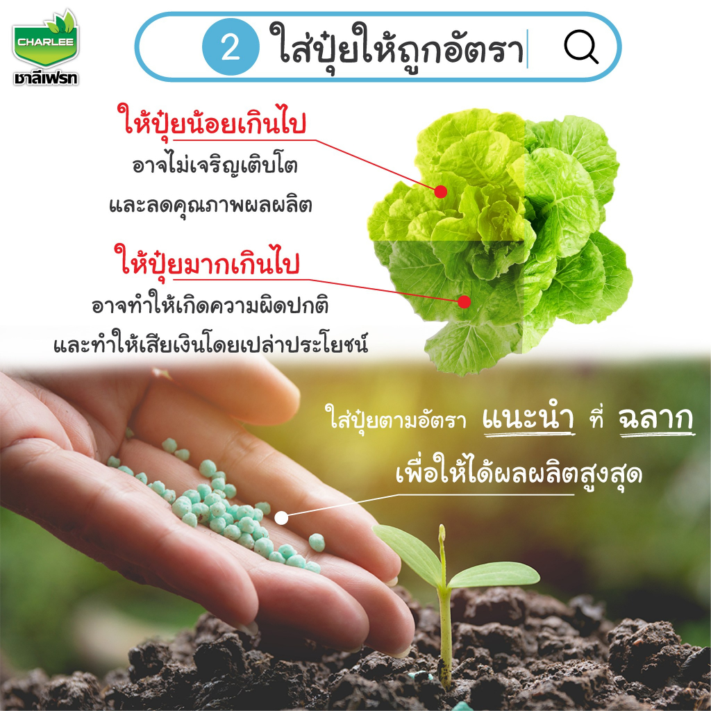 ปุ๋ยเกล็ด-11-44-11-ไอเพอเรน-ชาลีเฟรท-ขนาด-1-กิโลกรัม-ช่วยพัฒนาระบบราก-และสะสมอาหารช่วงก่อนออกดอก-เพิ่มผลผลิต-บำรุงผลผลิต