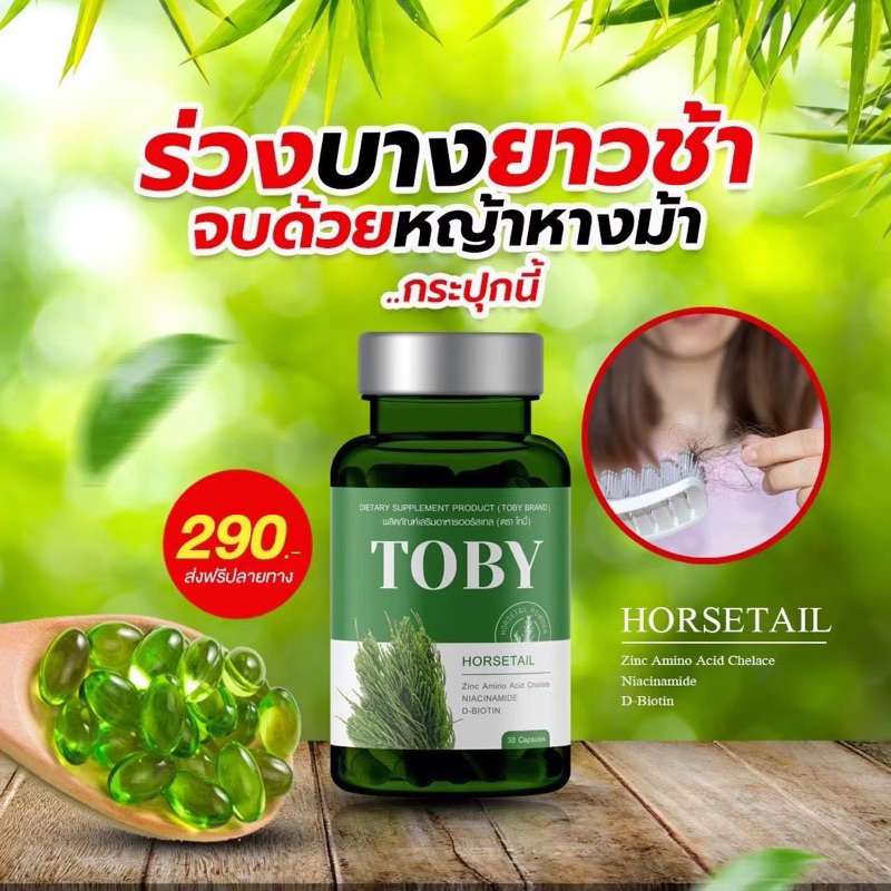 toby-horsetail-ผมร่วง-ผมบาง-ล้าน-วิตามินบำรุงผม