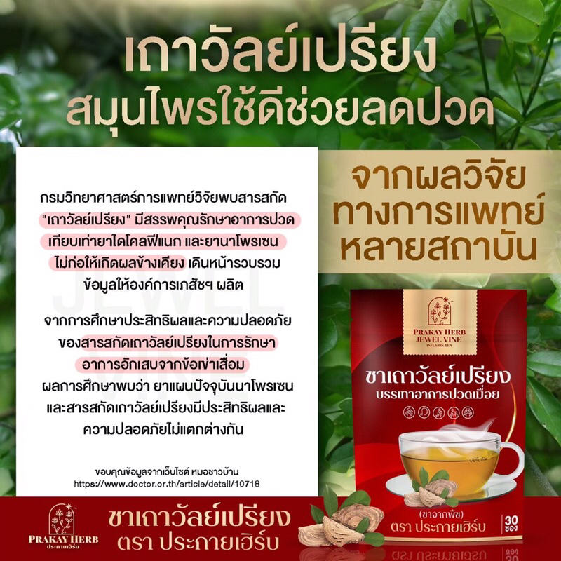 ส่งฟรี-ชาเถาวัลย์เปรียง-แก้ปวดเมื่อย-เครื่องดื่มสมุนไพร-ชาชงคลายเส้น-ออฟฟิศซินโดม-บำรุงธาตุ-ปวดเก๊าท์-ตราประกายเฮิร์บ