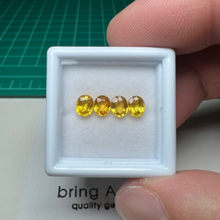 บุษราคัม (yellow sapphire) ขนาด 5x4 ม. พลอยธรรมชาติ พลอยสีเหลืองทองสวย ใส สะอาด