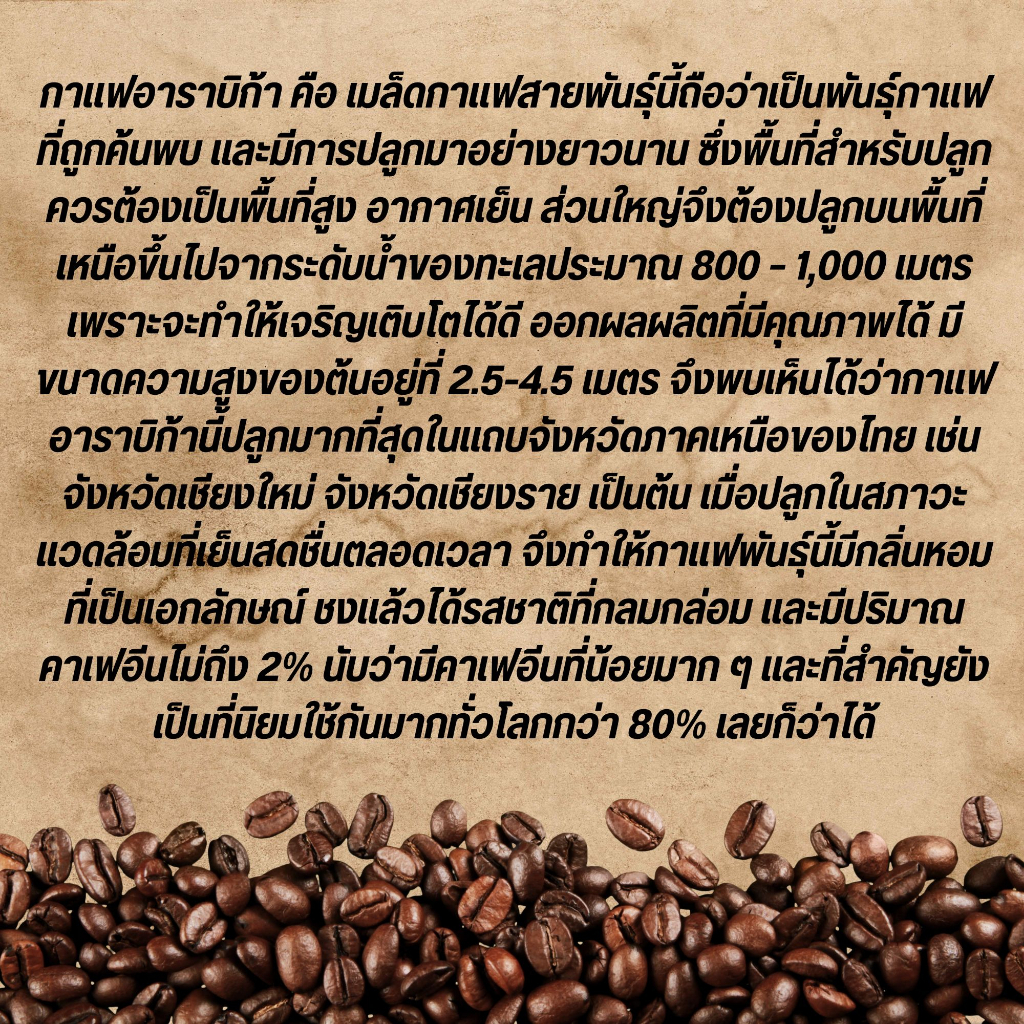 เมล็ดกาแฟคั่ว-sole-cafe-black-ขนาด-1000-กรัม-แบบเม็ด-อราบิก้าผสมโรบัสต้า-คัดสรรเมล็ดกาแฟที่ดีที่สุด